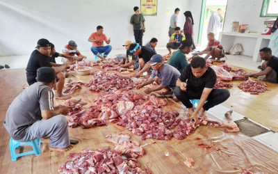 Tebar Berkah, Panitia Kurban  MAN 2 Kabgor Bagikan Daging